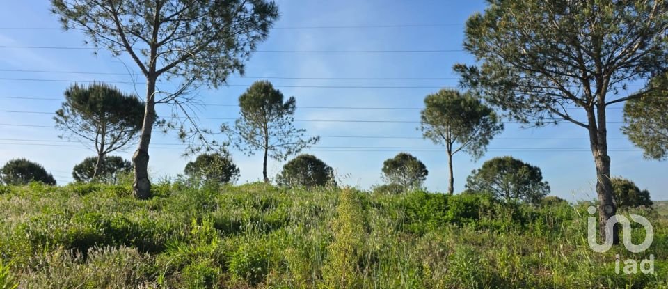 Land in Painho e Figueiros of 26,040 m²