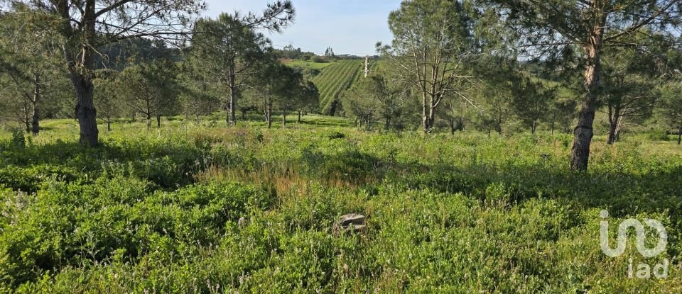 Land in Painho e Figueiros of 26,040 m²