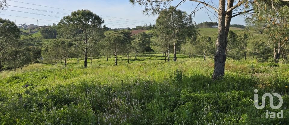 Land in Painho e Figueiros of 26,040 m²