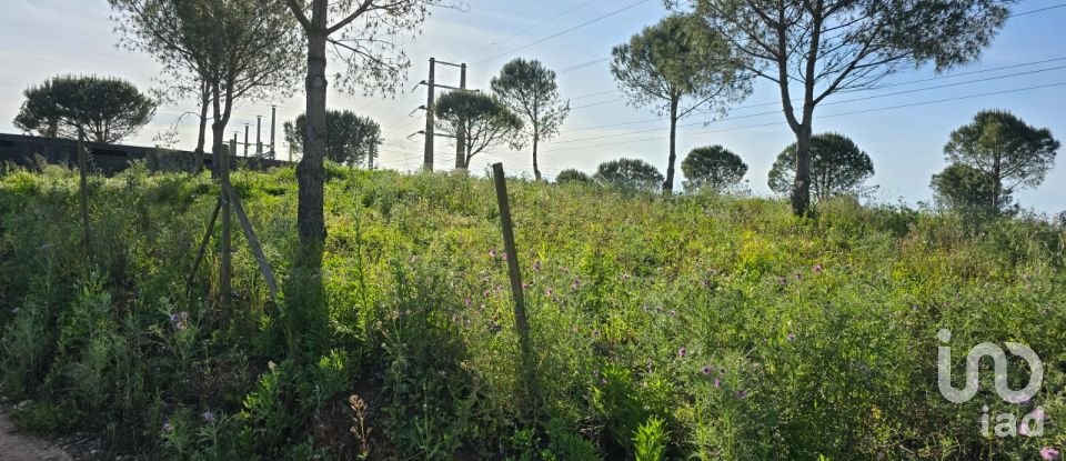 Land in Painho e Figueiros of 26,040 m²