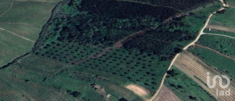 Terreno em Painho e Figueiros de 18 760 m²