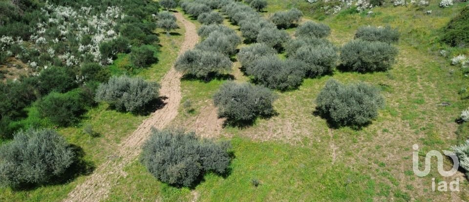 Land in Veiga de Lila of 72,000 m²