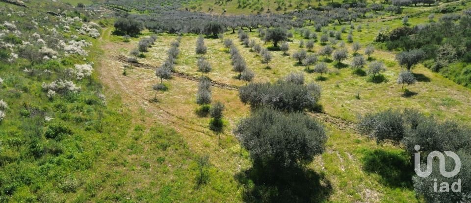 Land in Veiga de Lila of 72,000 m²