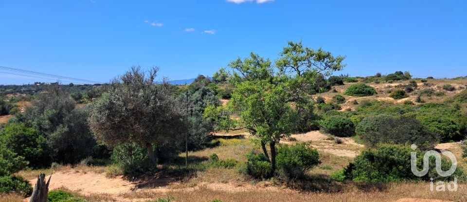 Terrain à Porches de 53 440 m²