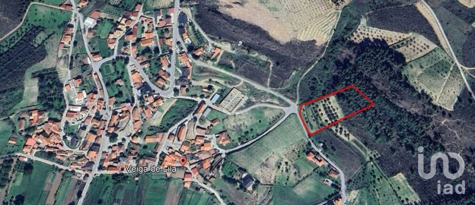 Land in Veiga de Lila of 6,180 m²