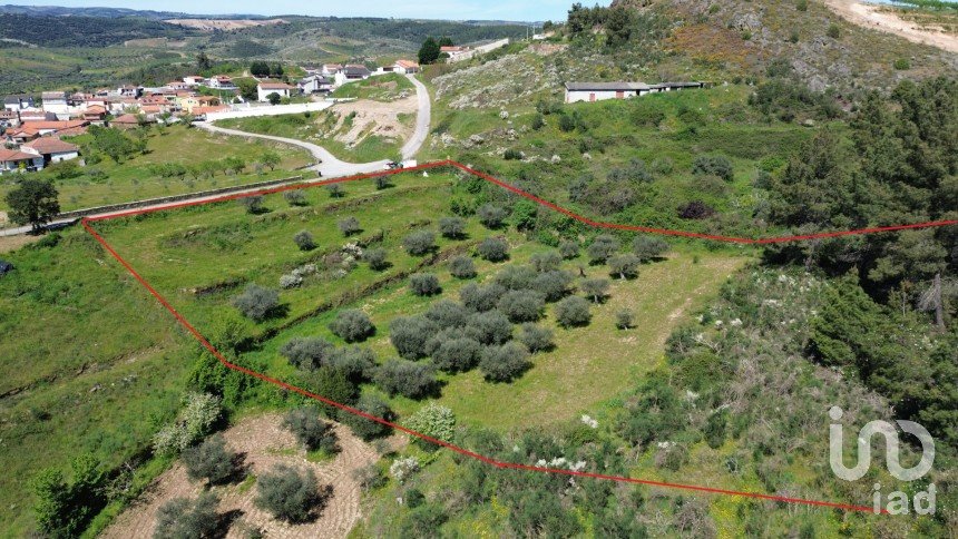 Land in Veiga de Lila of 6,180 m²