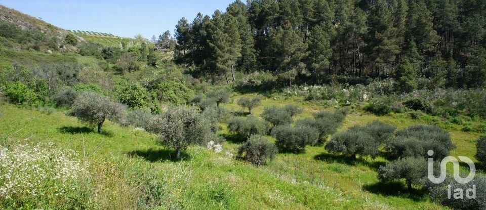 Land in Veiga de Lila of 6,180 m²