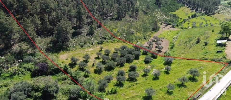 Land in Veiga de Lila of 6,180 m²