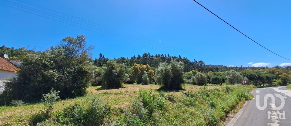 Land in Alcobertas of 1,480 m²