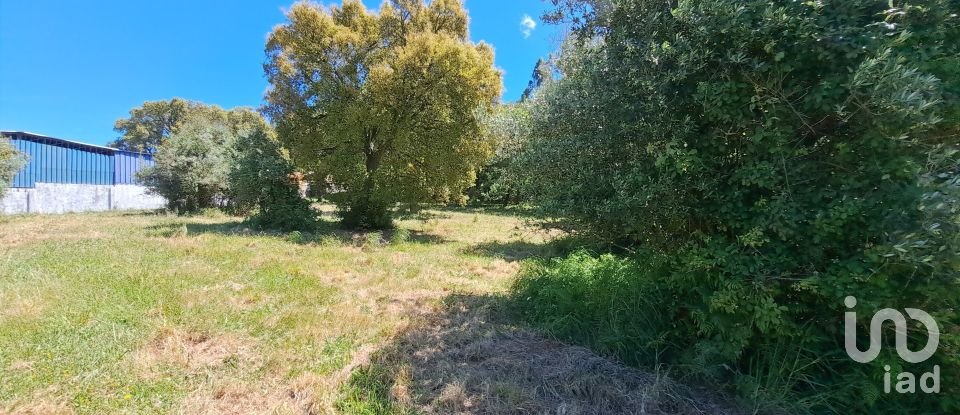 Land in Alcobertas of 1,480 m²