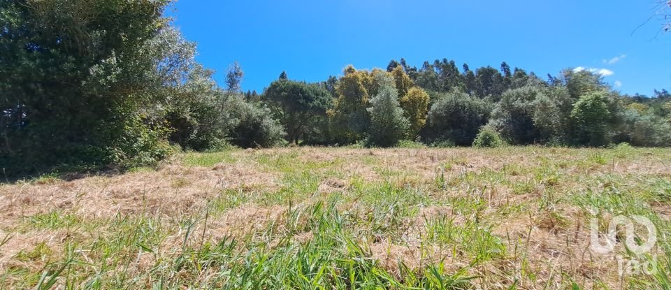 Land in Alcobertas of 1,480 m²