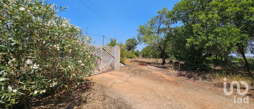 Farm T3 in Silves of 270 m²