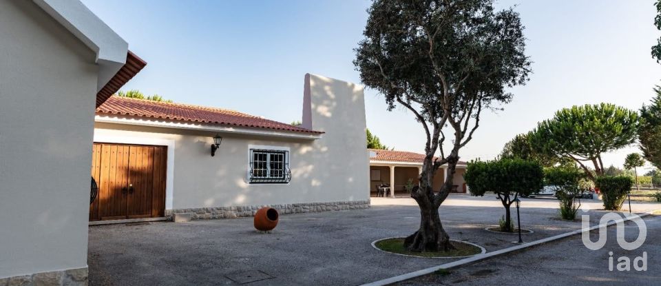 Ferme T4 à Quinta do Anjo de 515 m²