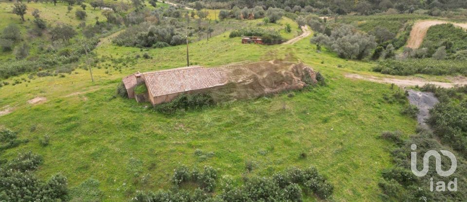 Casa de aldeia T3 em São Bartolomeu de Messines de 260 m²