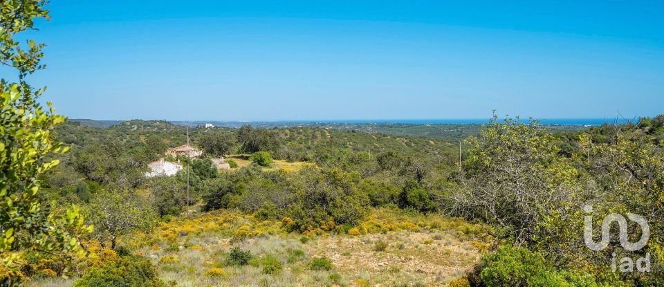 Terreno para construção em Santa Catarina da Fonte do Bispo de 230 000 m²