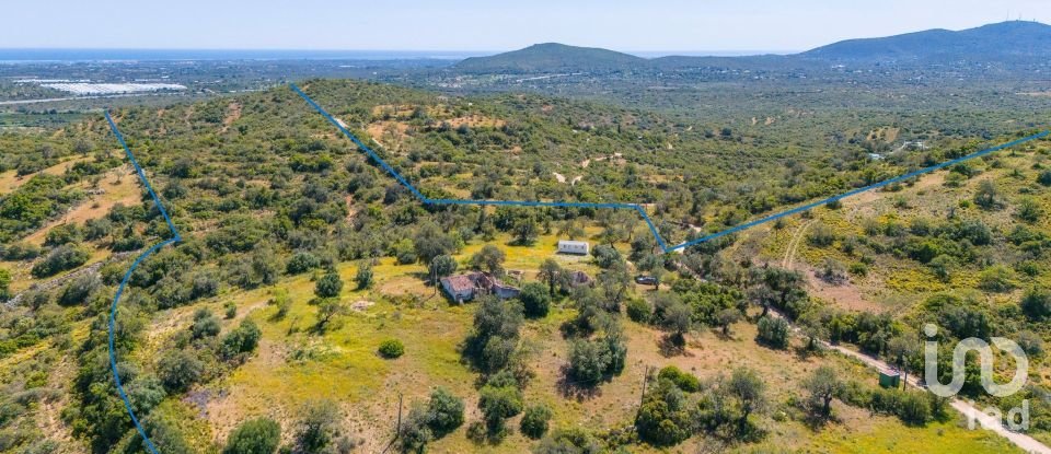 Terreno para construção em Santa Catarina da Fonte do Bispo de 230 000 m²