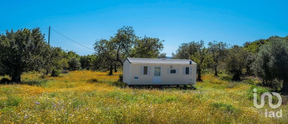 Terreno para construção em Santa Catarina da Fonte do Bispo de 230 000 m²