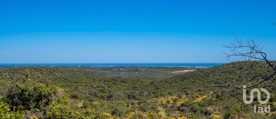 Terreno para construção em Santa Catarina da Fonte do Bispo de 230 000 m²