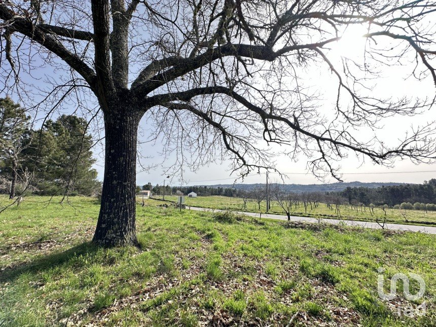 Terreno em Torre do Terrenho, Sebadelhe da Serra e Terrenho de 21 741 m²