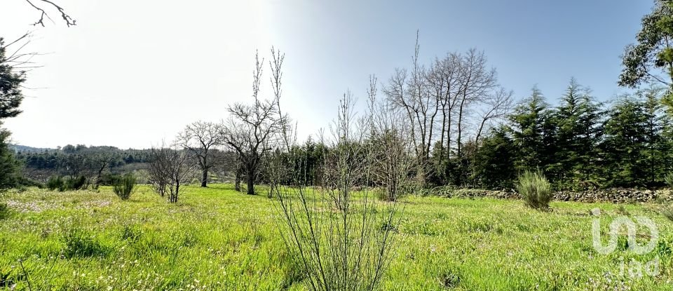 Terreno em Torre do Terrenho, Sebadelhe da Serra e Terrenho de 21 741 m²