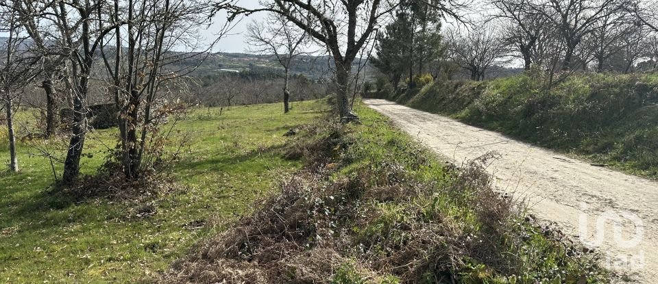 Terreno em Torre do Terrenho, Sebadelhe da Serra e Terrenho de 21 741 m²