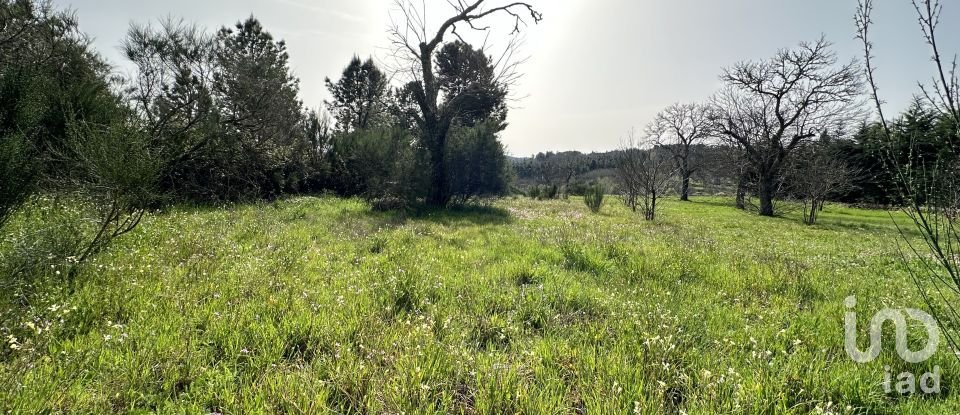 Terreno em Torre do Terrenho, Sebadelhe da Serra e Terrenho de 21 741 m²