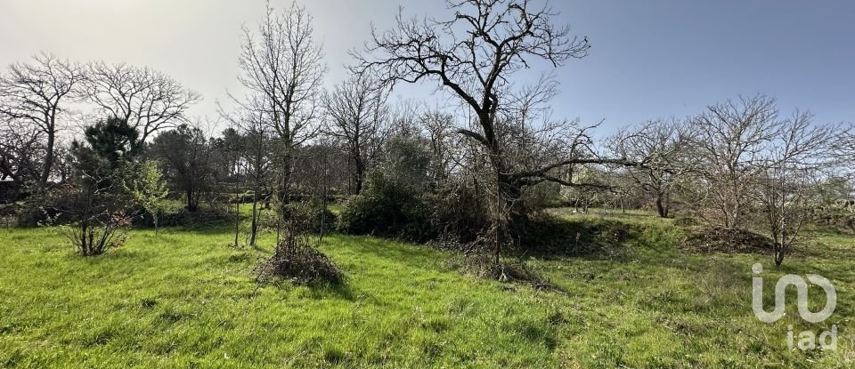 Terreno em Torre do Terrenho, Sebadelhe da Serra e Terrenho de 21 741 m²