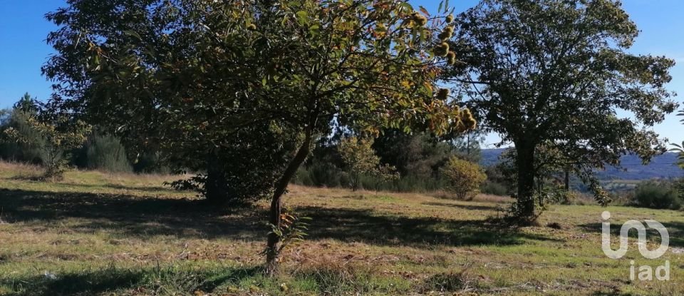 Terreno em Torre do Terrenho, Sebadelhe da Serra e Terrenho de 21 741 m²