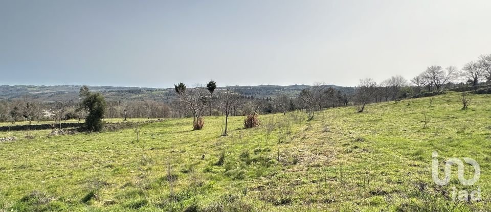 Terreno em Torre do Terrenho, Sebadelhe da Serra e Terrenho de 21 741 m²