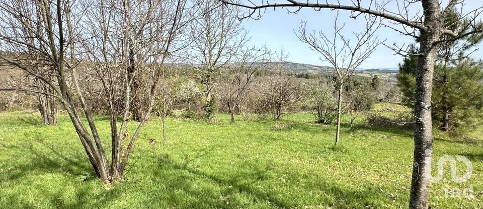 Terreno em Torre do Terrenho, Sebadelhe da Serra e Terrenho de 21 741 m²