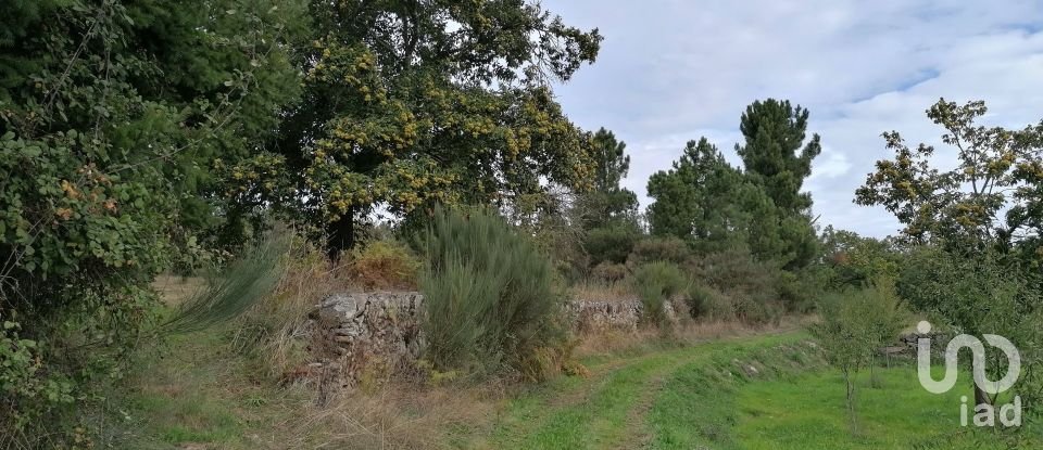 Terreno em Torre do Terrenho, Sebadelhe da Serra e Terrenho de 21 741 m²