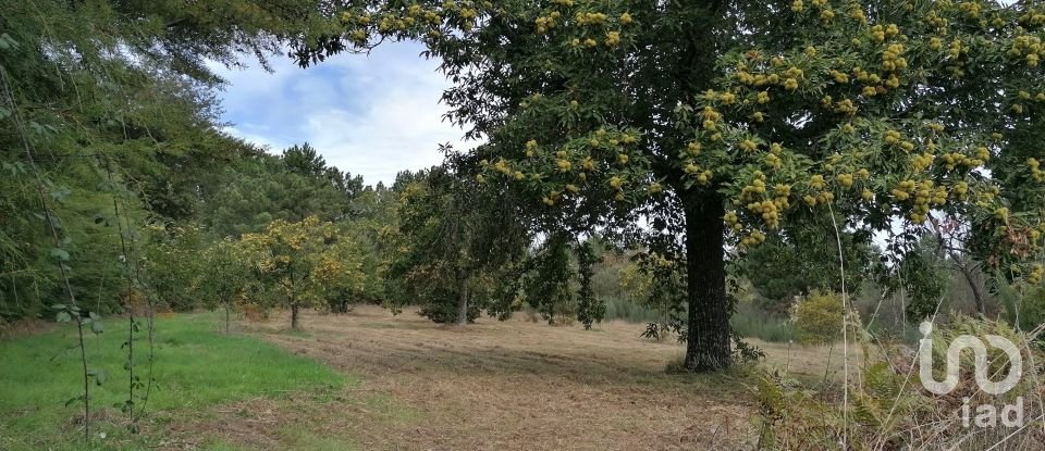 Terreno em Torre do Terrenho, Sebadelhe da Serra e Terrenho de 21 741 m²