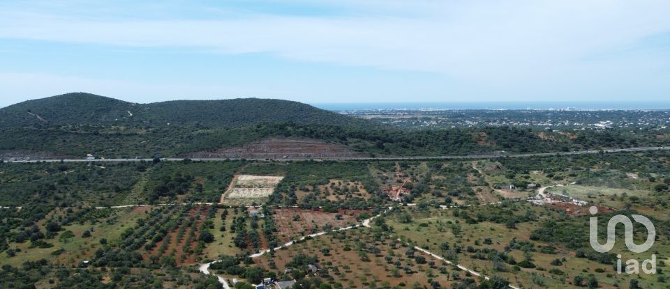 Terreno em Loulé (São Sebastião) de 9 990 m²