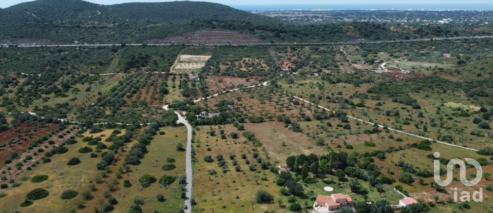 Terreno em Loulé (São Sebastião) de 9 990 m²