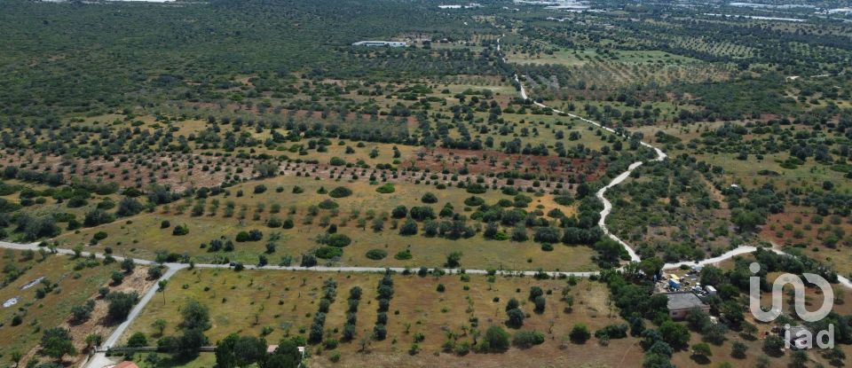 Terreno em Loulé (São Sebastião) de 9 990 m²