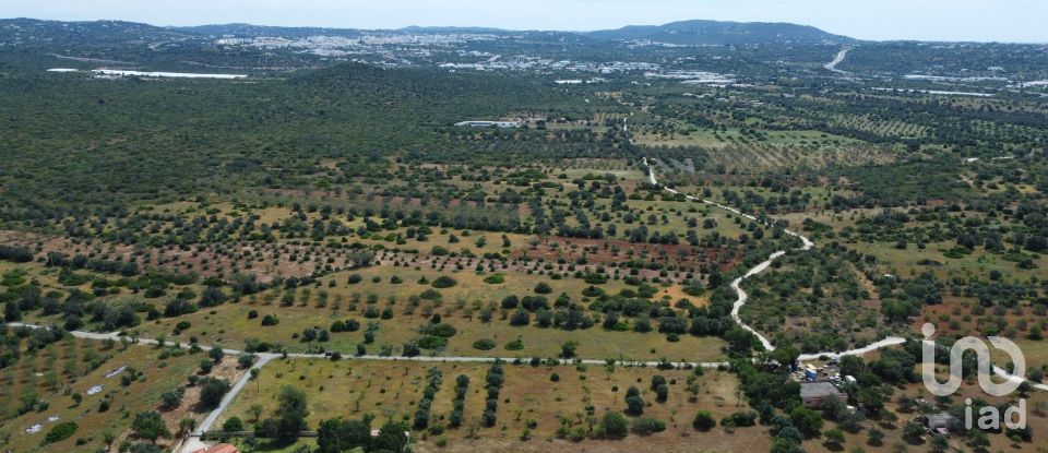 Terreno em Loulé (São Sebastião) de 9 990 m²