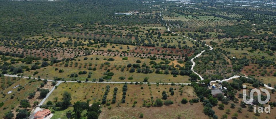 Terreno em Loulé (São Sebastião) de 9 990 m²