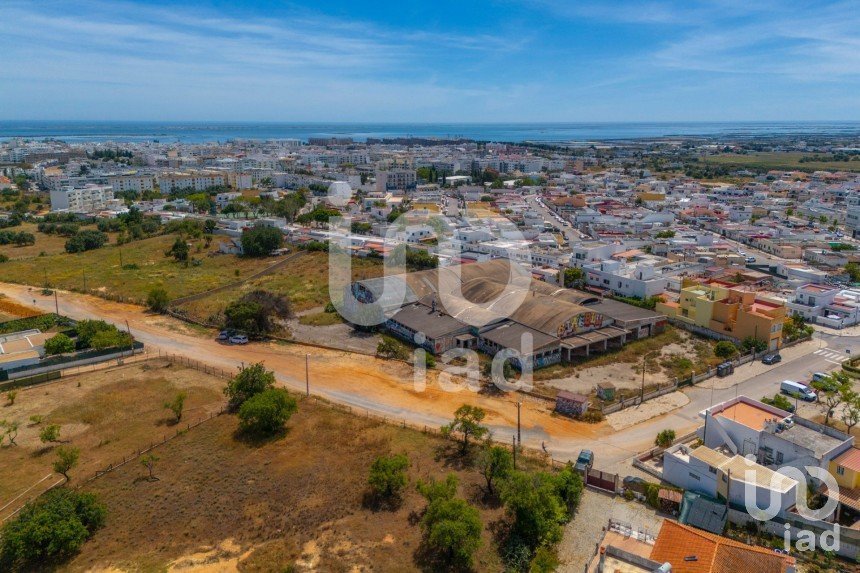 Building land in Quelfes of 9,108 m²