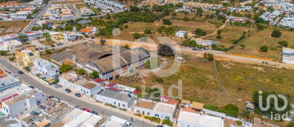 Building land in Quelfes of 9,108 m²