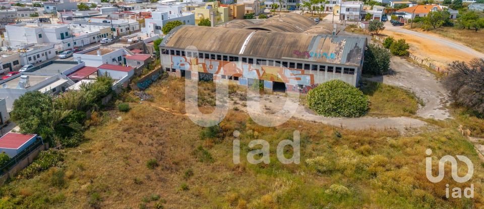 Building land in Quelfes of 9,108 m²