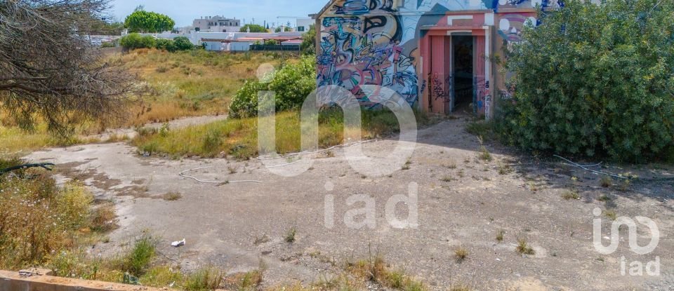 Building land in Quelfes of 9,108 m²