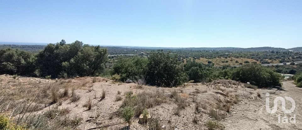 Terreno em Boliqueime de 32 966 m²