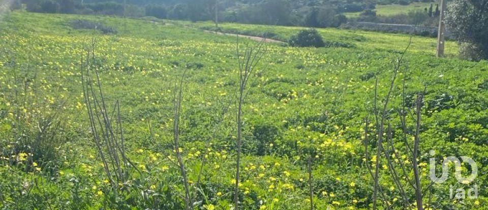 Terreno em Budens de 4 200 m²