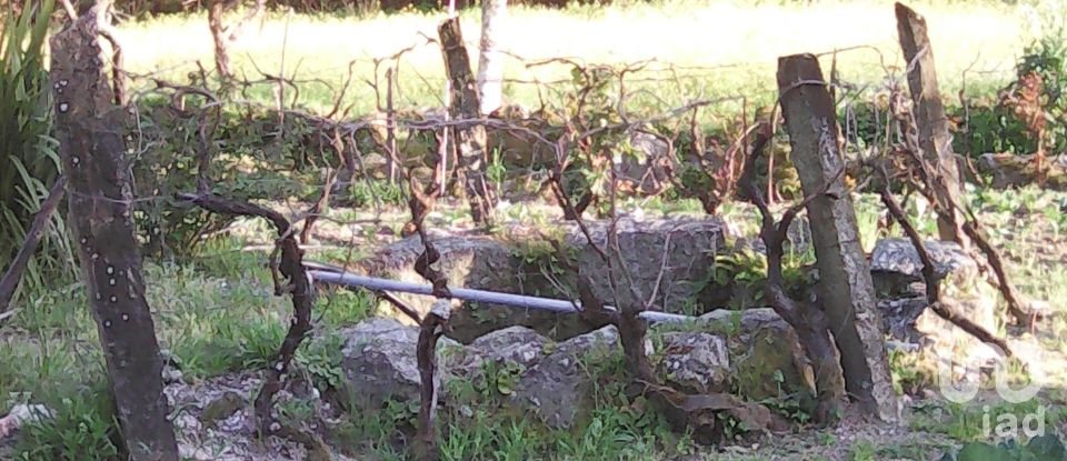 Terrain agricole à Moimenta da Serra e Vinhó de 2 126 m²