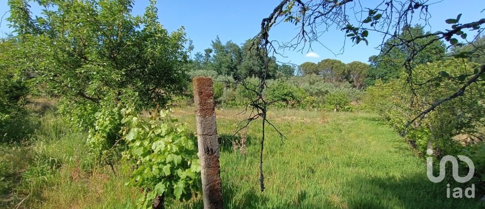 Terrain agricole à Moimenta da Serra e Vinhó de 2 126 m²