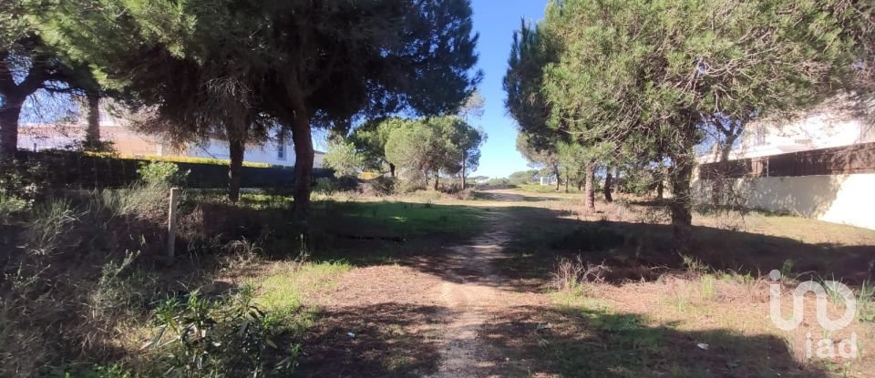 Building land in Almancil of 960 m²