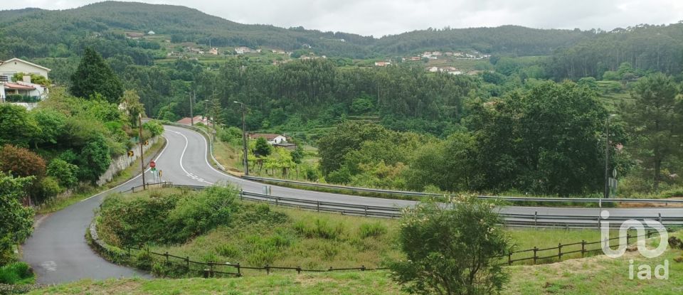 Terreno em Macieira de Cambra de 3 600 m²