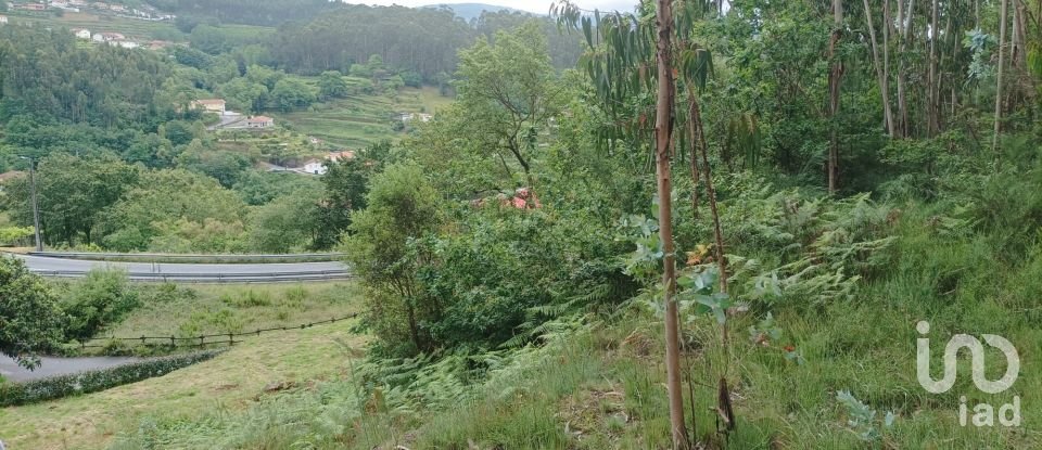 Terreno em Macieira de Cambra de 3 600 m²