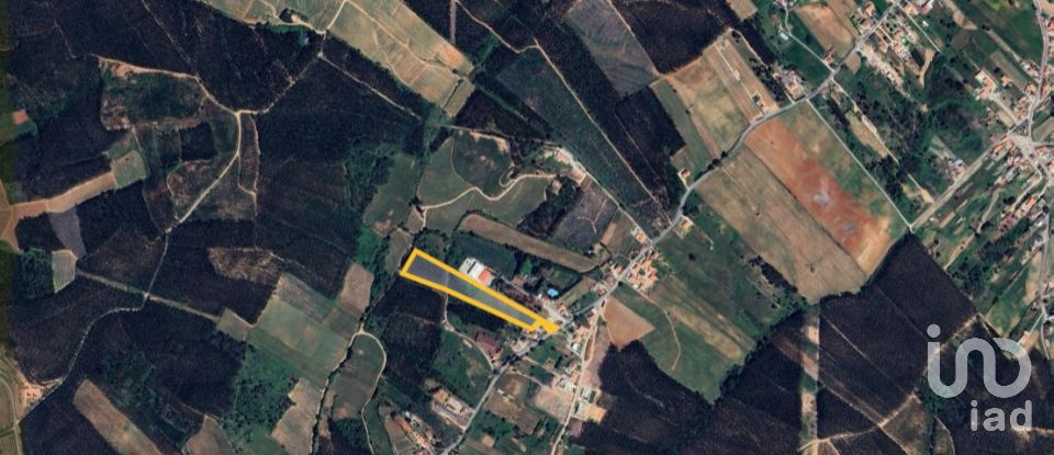 Terreno para construção em Cadaval e Pêro Moniz de 16 730 m²