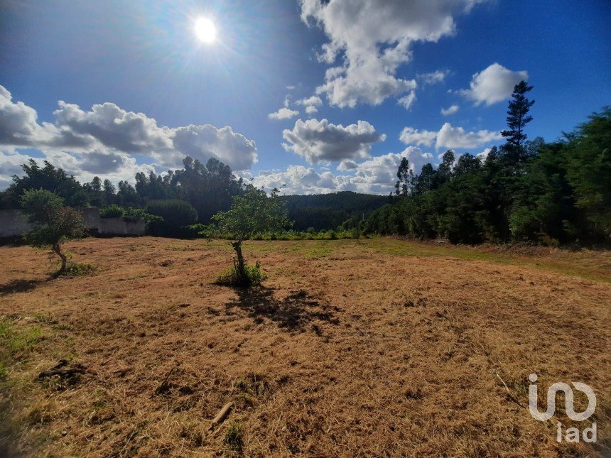 Terrain à bâtir à Cadaval e Pêro Moniz de 16 730 m²